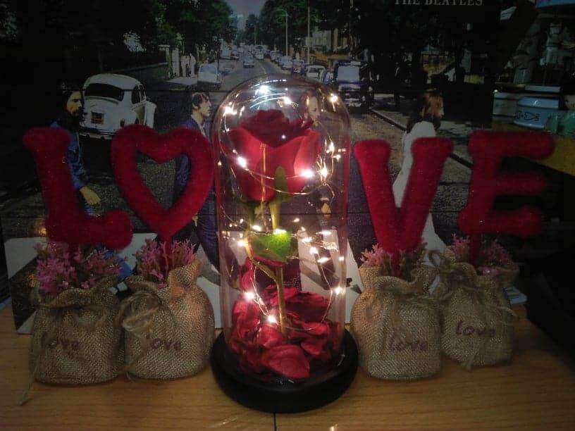 Others L O V E set display