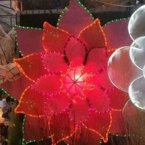 The Red Flower Christmas Lantern, ideal for home decor, showcases vibrant shades of pink and red with green-tipped petals, adding a touch of Dapitan-inspired elegance.