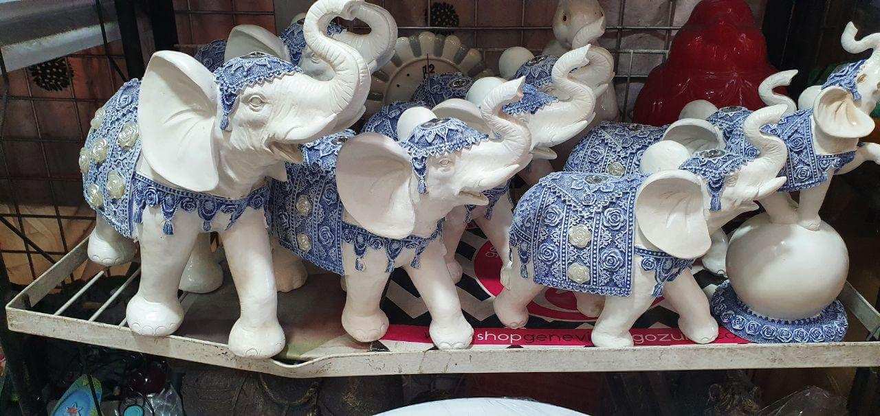 photo_2020-08-21_09-30-06