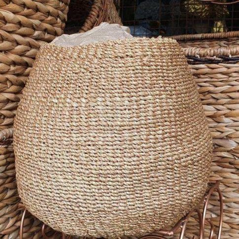 photo_2020-08-21_09-52-01 (2) photo_2020-08-21_09-52-01 (2)