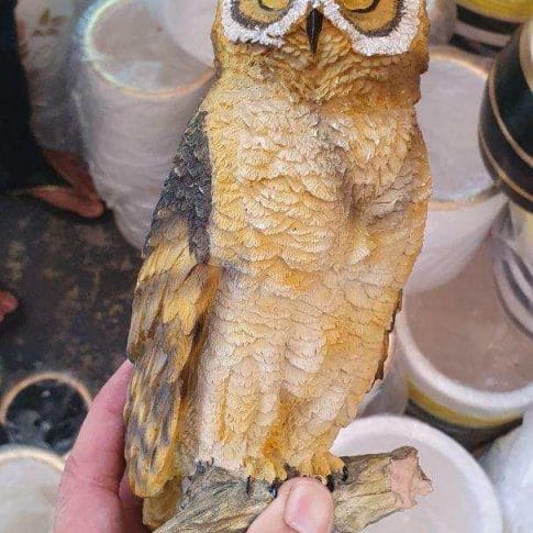 photo_2020-08-27_09-57-17 photo_2020-08-27_09-57-17