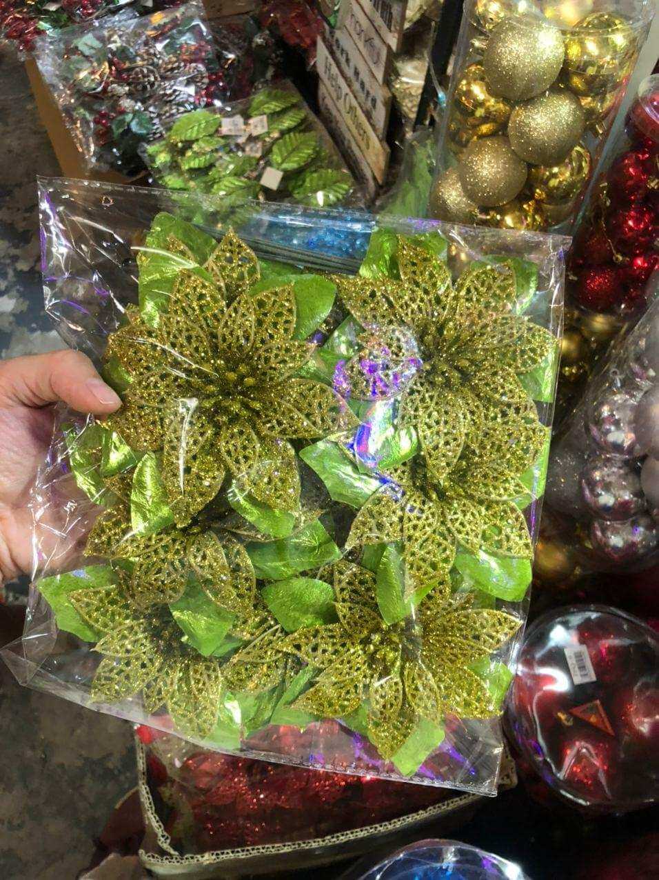 photo_2020-09-22_13-58-30