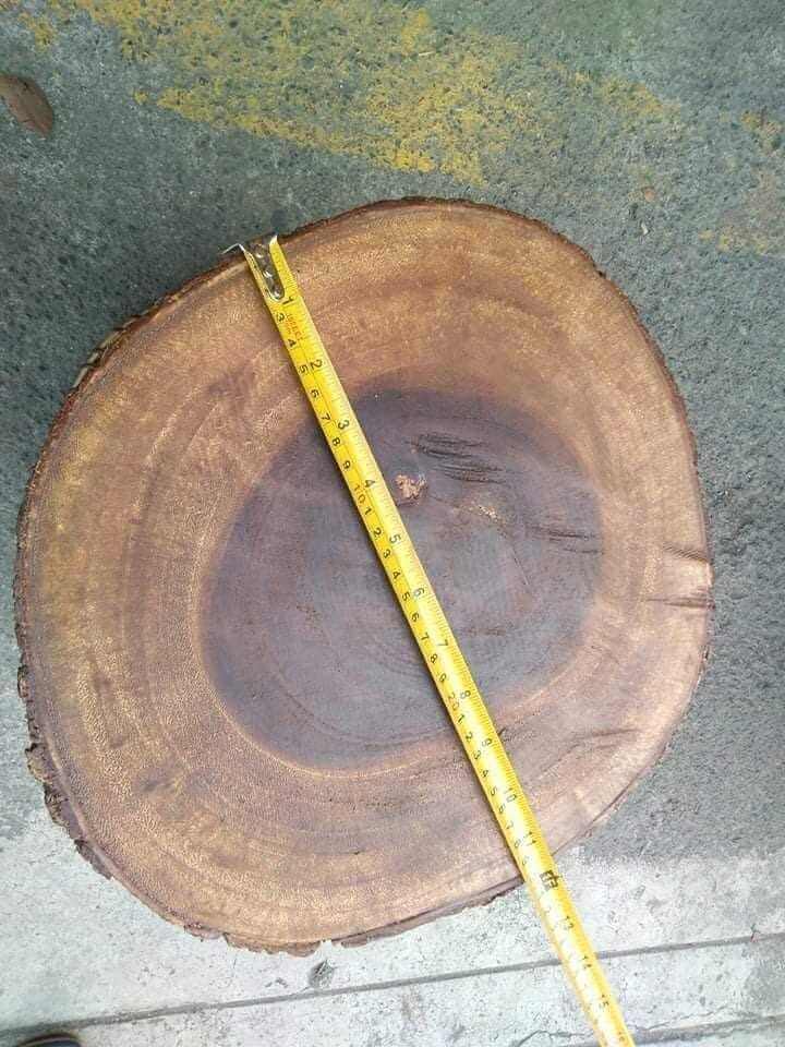 photo_2020-09-08_15-03-08