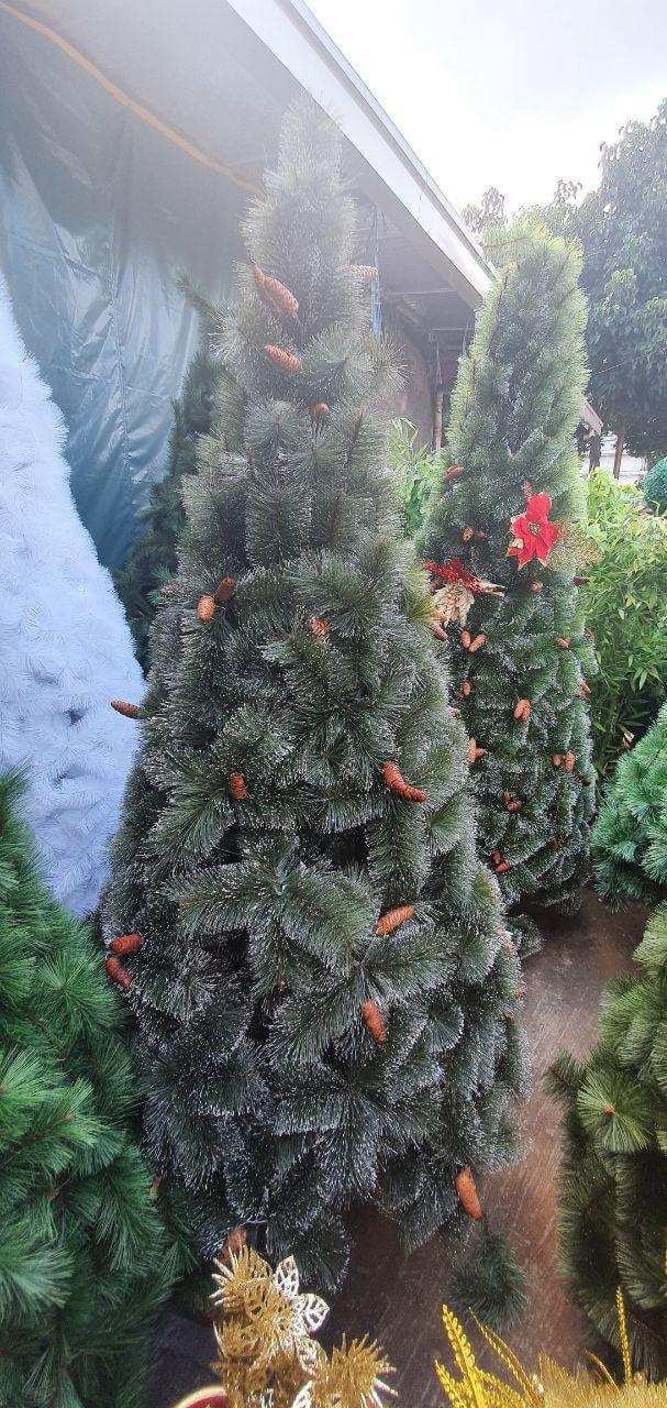 photo_2020-09-10_08-36-24