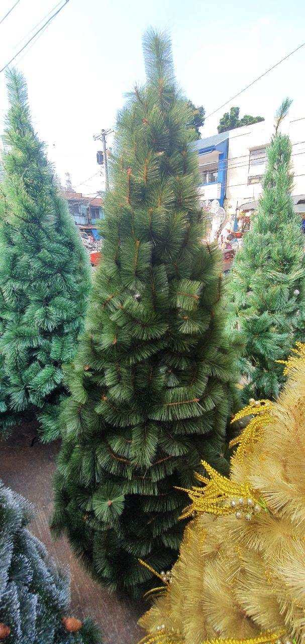 photo_2020-09-10_08-37-00