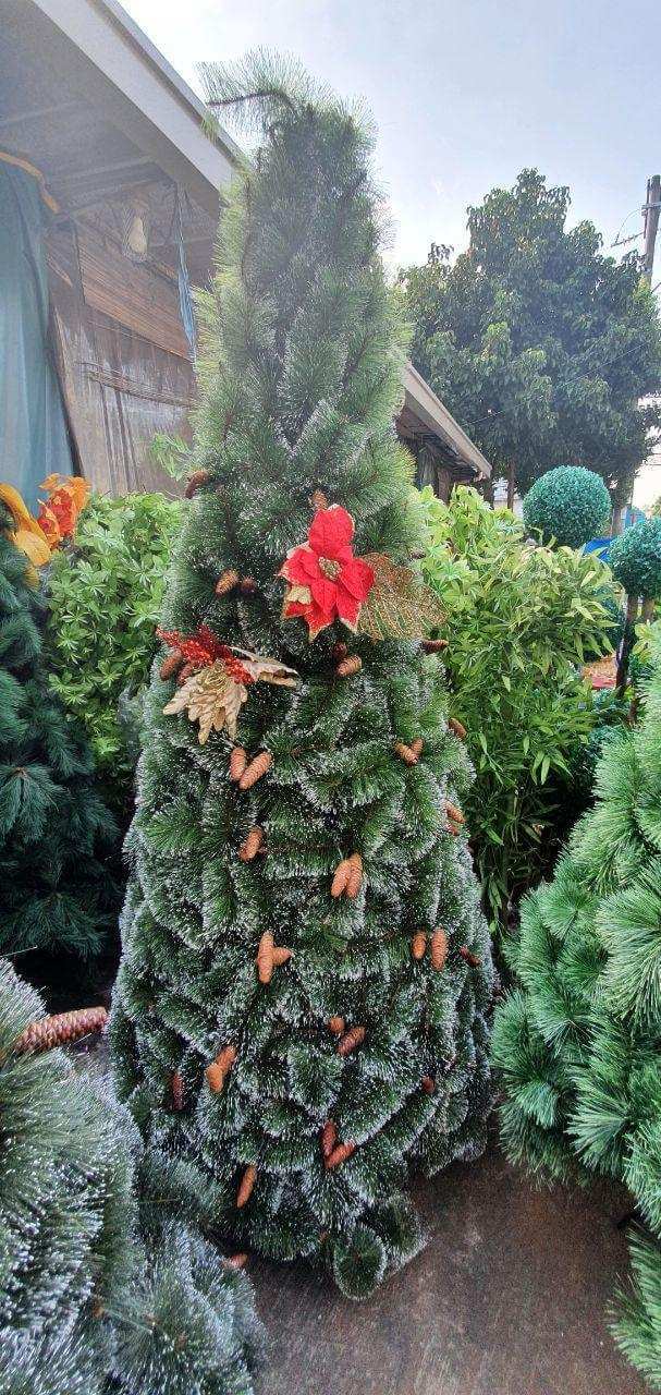 photo_2020-09-10_08-37-47