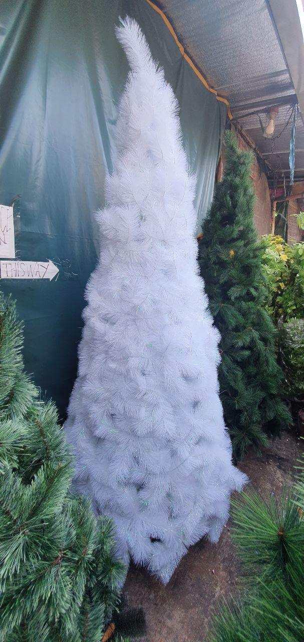 photo_2020-09-10_08-38-28