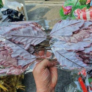 Christmas Tree Leaves Christmas Decoration All about Christmas Christmas Tree Leaves