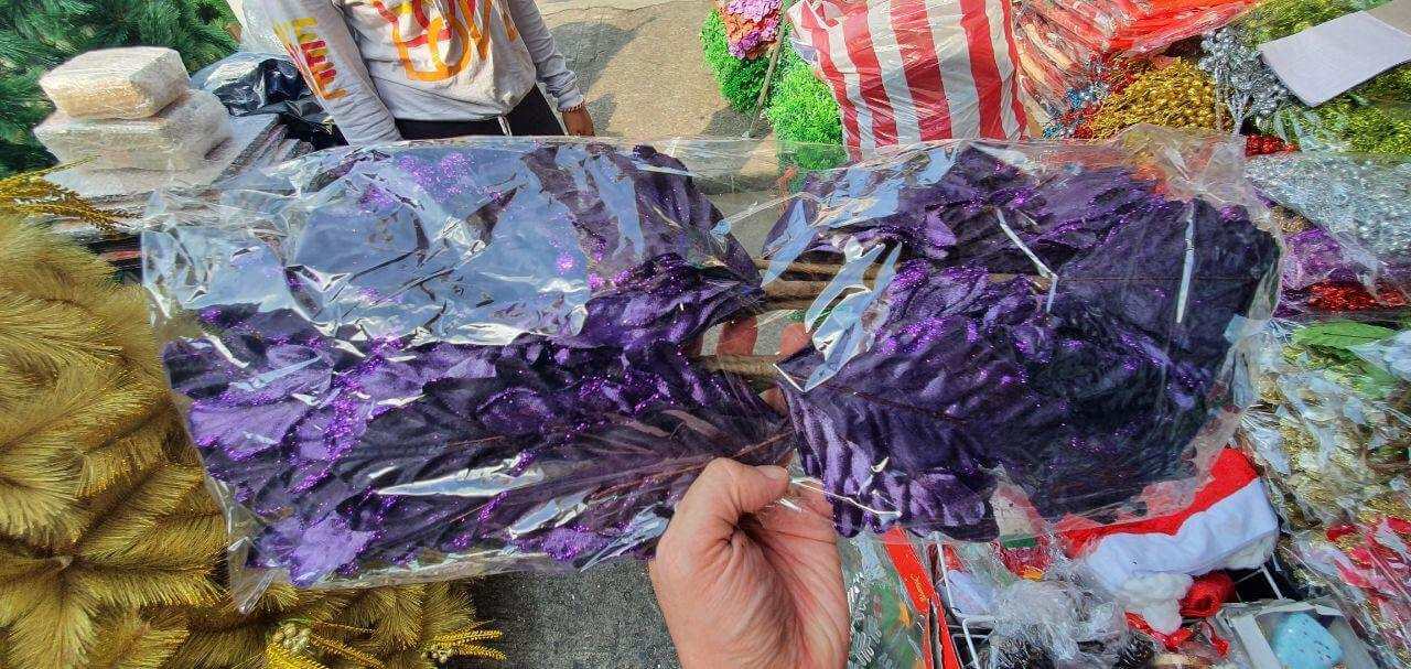 photo_2020-09-10_08-40-24