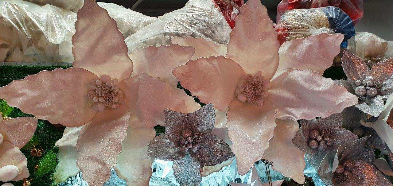 photo_2020-09-10_09-00-05