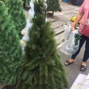 Christmas Decoration 5FT Christmas Tree All about Christmas