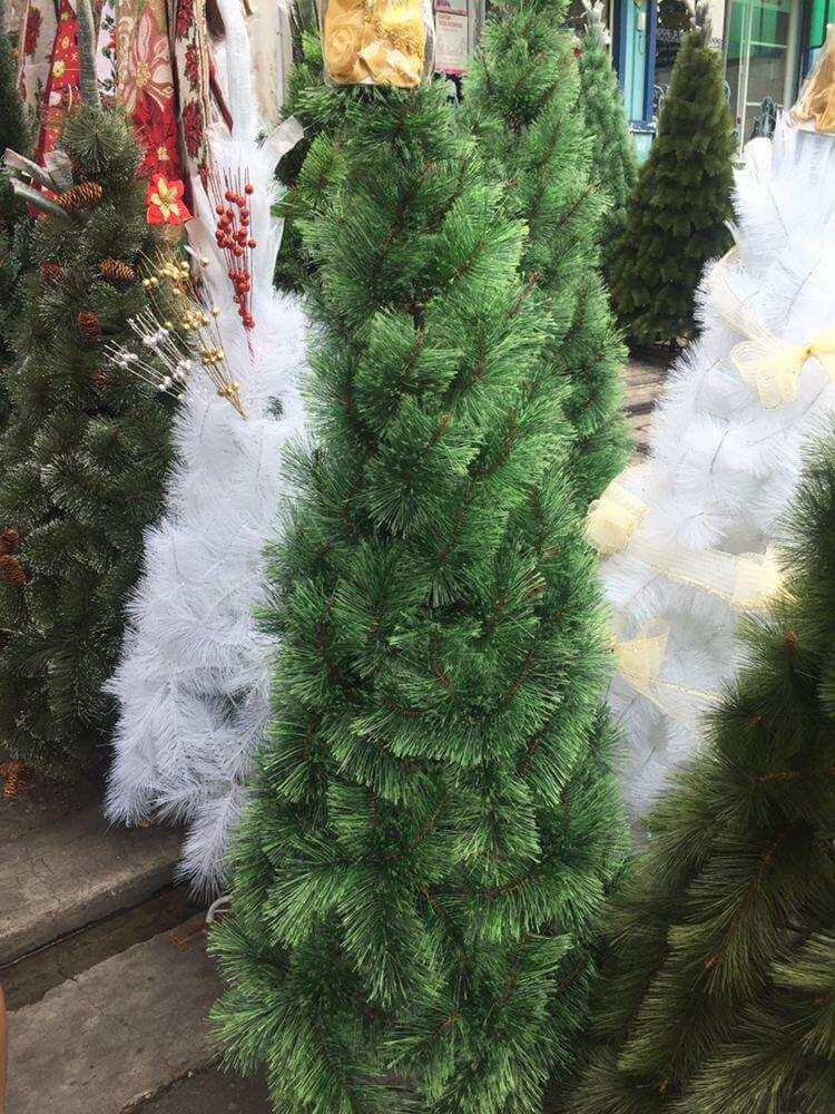 photo_2020-10-06_08-10-04