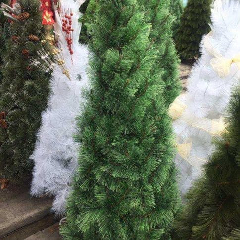 photo_2020-10-06_08-10-04 photo_2020-10-06_08-10-04