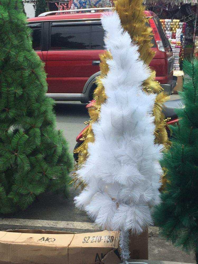 photo_2020-10-17_07-59-43