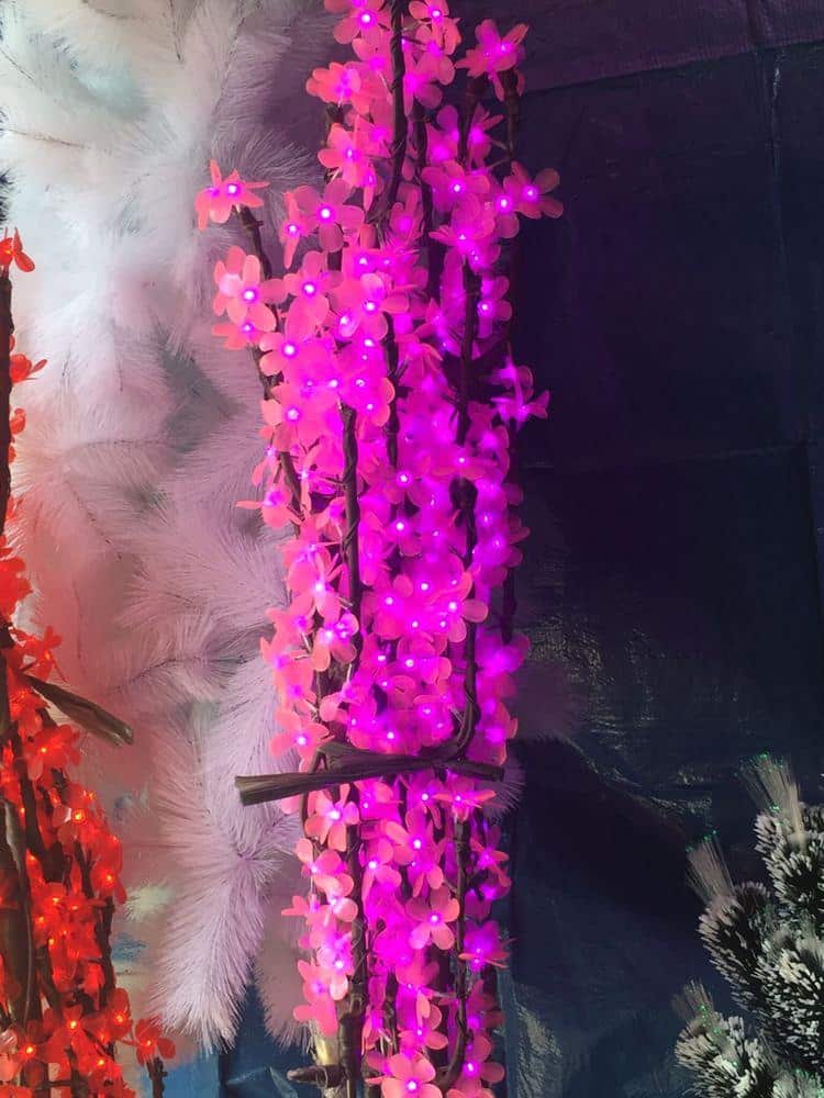 photo_2020-10-17_08-01-04 (2)