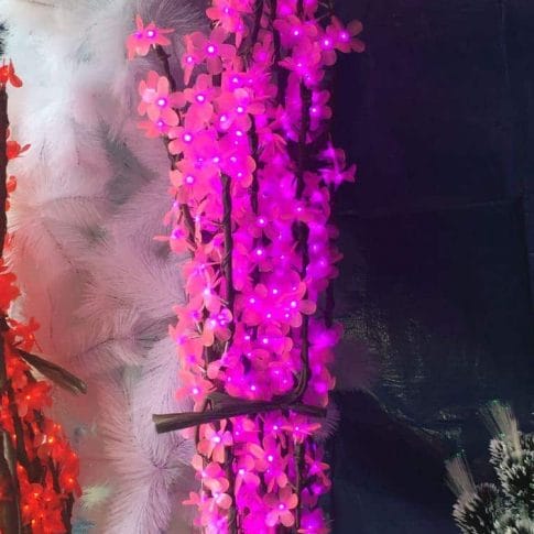 photo_2020-10-17_08-01-04 (2) photo_2020-10-17_08-01-04 (2)