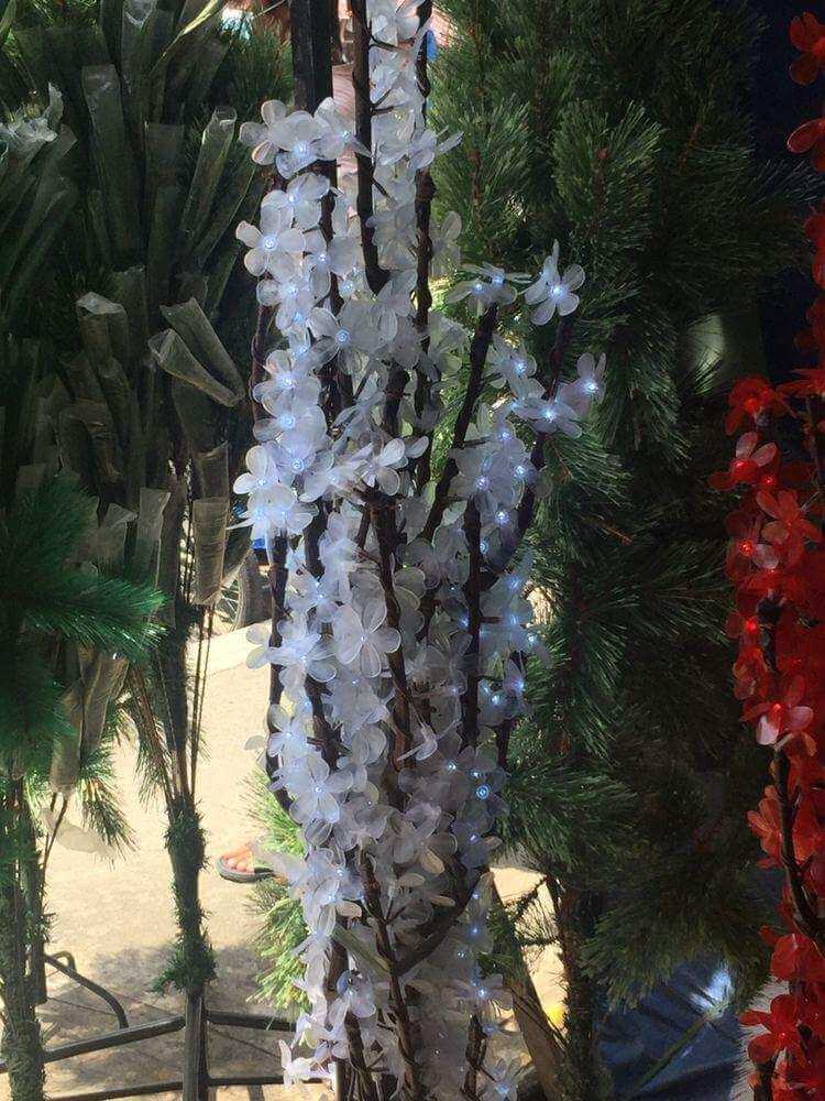 photo_2020-10-17_08-01-04