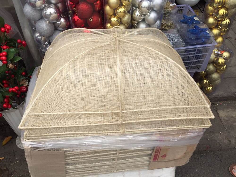 photo_2020-10-31_11-41-39