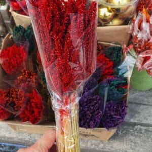 Others Dried Flowers dried flowers