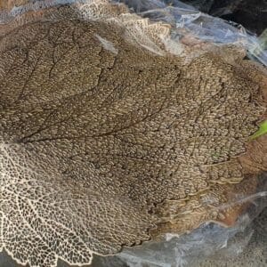 Leaf Placemat Dinnerware dinnerware Leaf Placemat