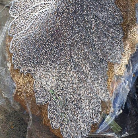 photo_2021-01-07_09-04-52 photo_2021-01-07_09-04-52