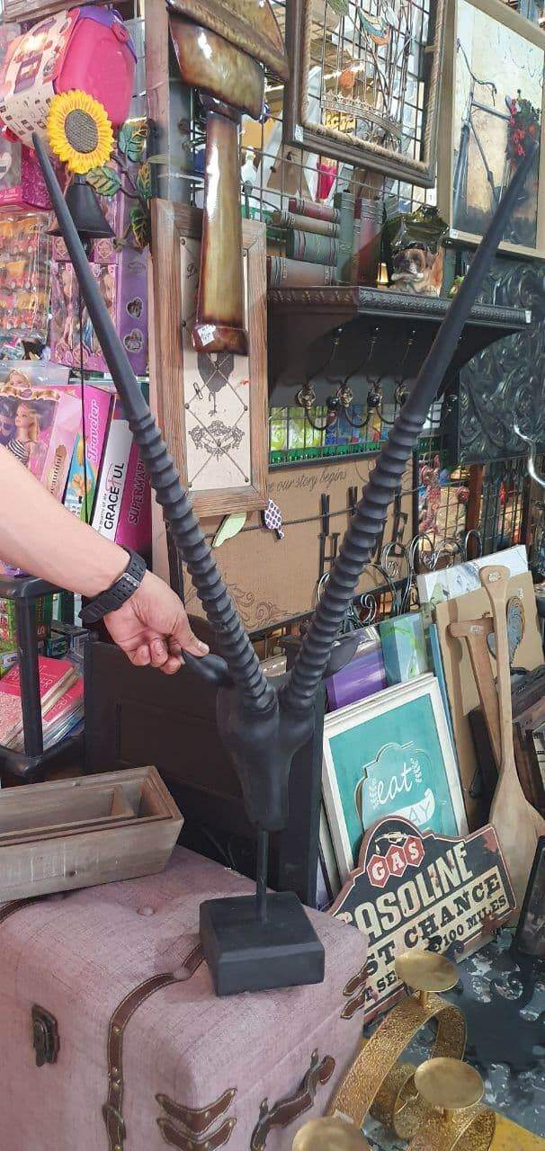 Others Antelope Head antelope head