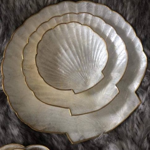 photo_2021-01-19_09-41-39 photo_2021-01-19_09-41-39