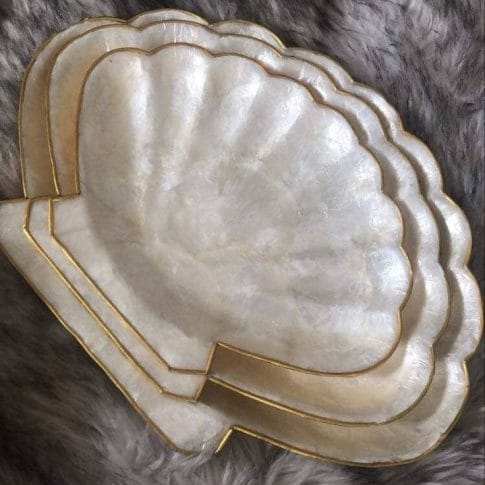 photo_2021-01-19_09-41-41 photo_2021-01-19_09-41-41