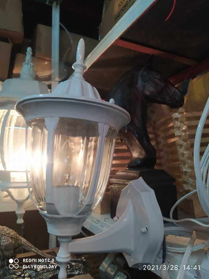 163880457_810852966185463_6759515546608111239_n