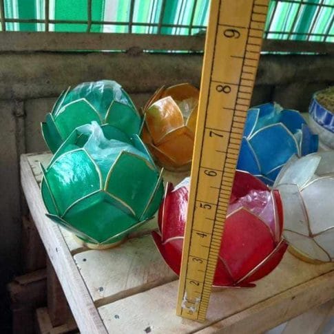 174718856_267933534708109_8612544139987458830_n 174718856_267933534708109_8612544139987458830_n