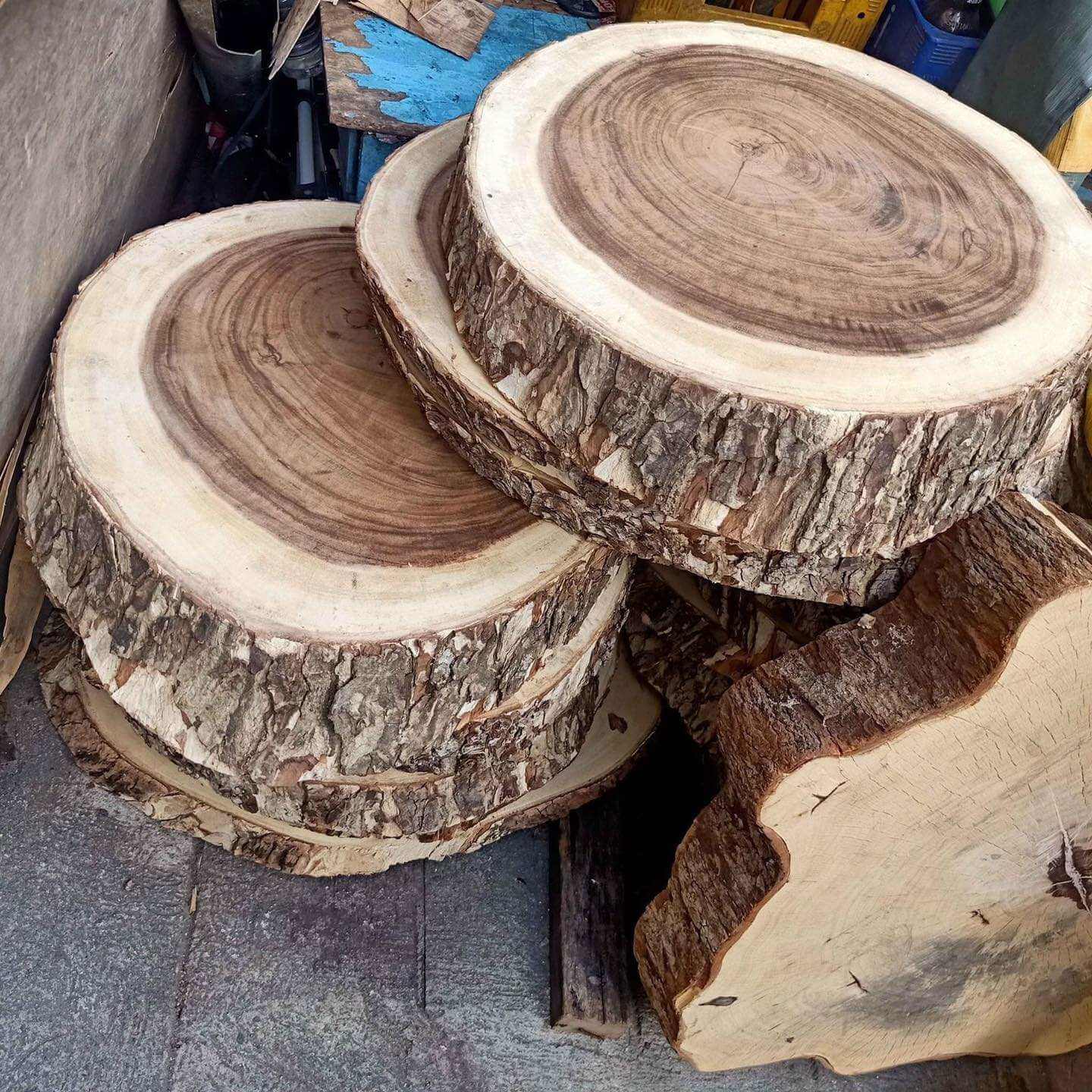 175670367_269187397916056_1969146629787565760_n