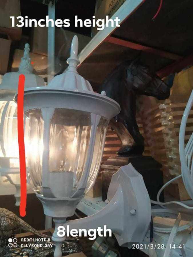 175682838_171399814853381_1485949949660067798_n