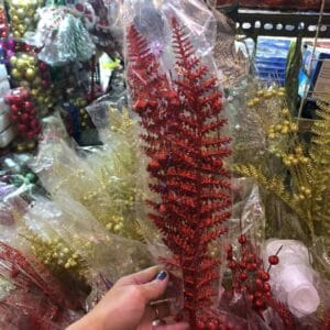Red Twigs Decoration