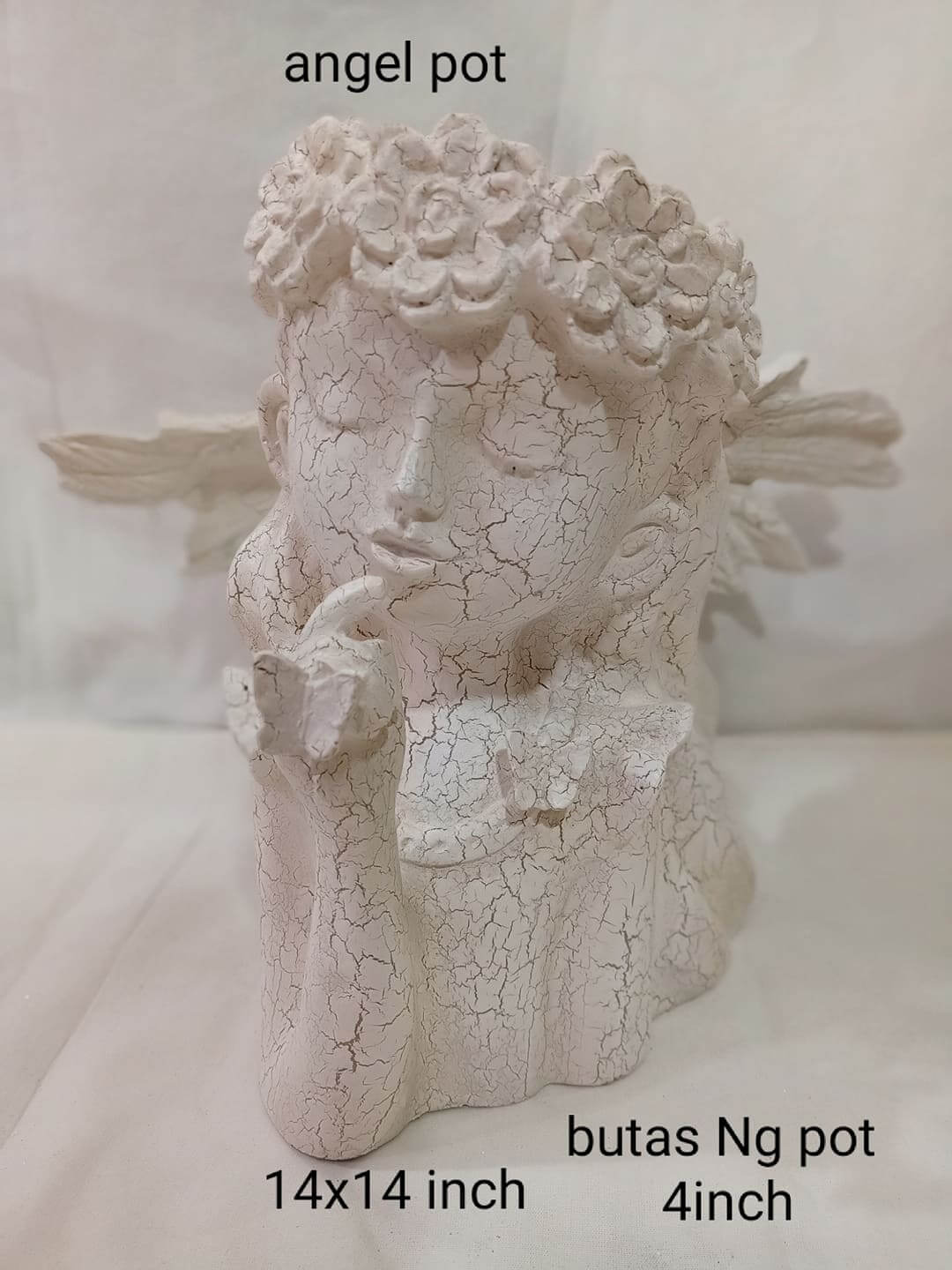 Pots White Face Flower Pot flower pot