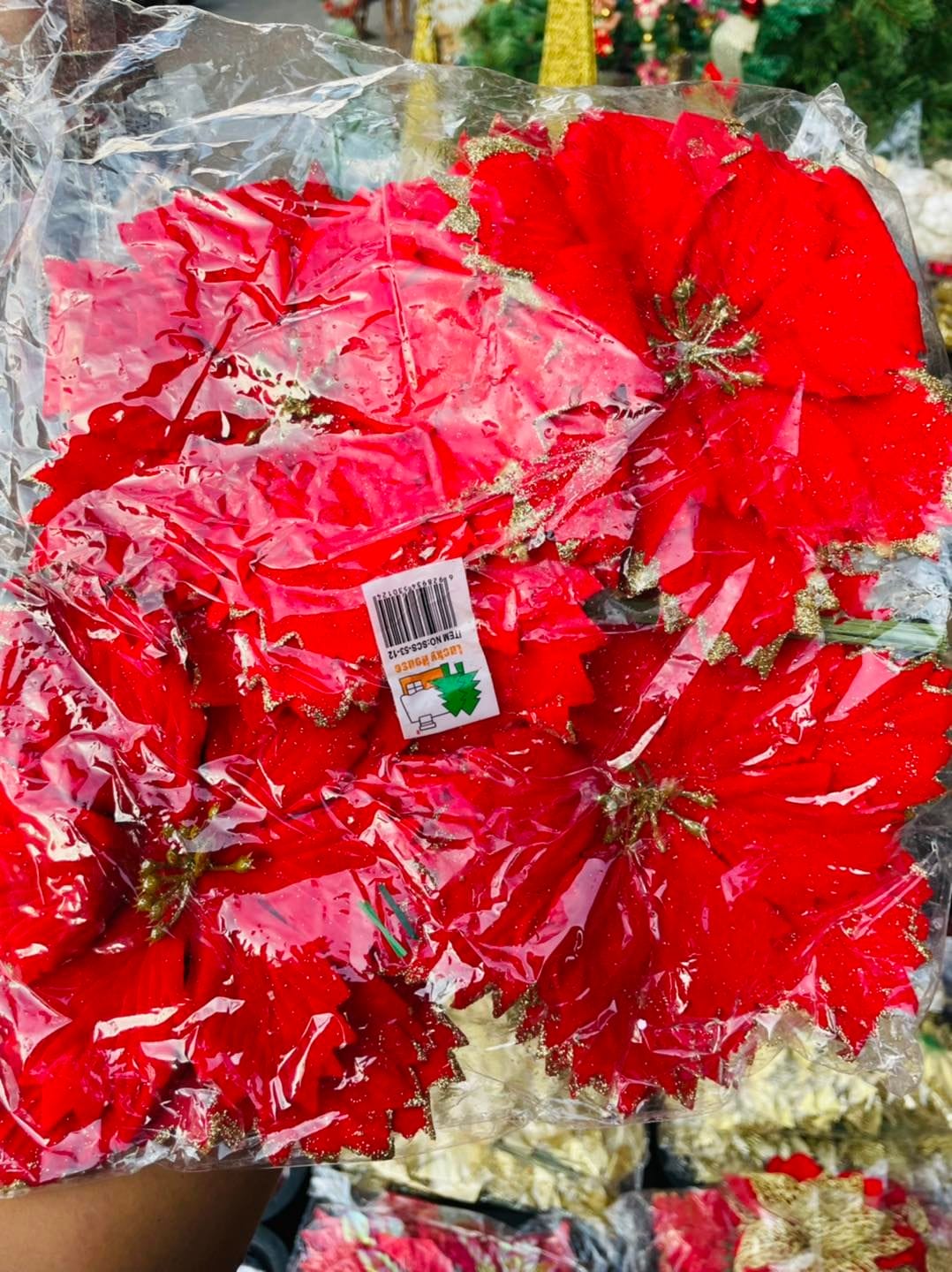 305572878_590555699416106_5685827711484293986_n