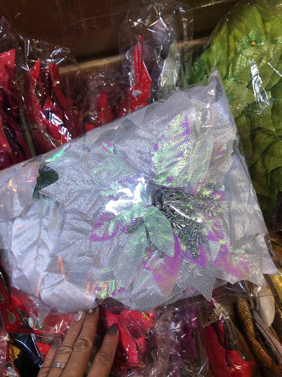 photo_2022-09-10_12-37-50